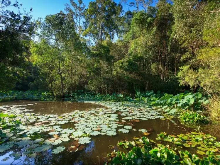 Third view of Homely rural property listing, 791 Upper Brookfield Road, Upper Brookfield QLD 4069