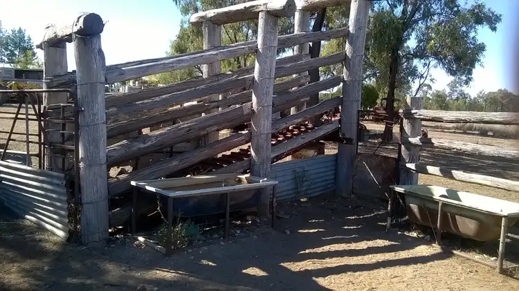 Seventh view of Homely rural property listing, 37 Goonalah Extention ROAD, Miles QLD 4415