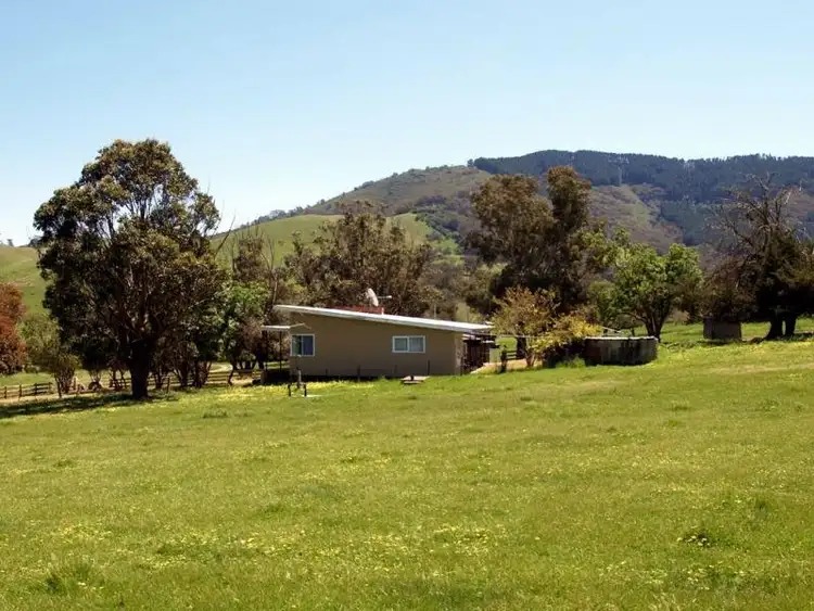 Fifth view of Homely rural property listing, 106 Pig & Whistle Lane, Molesworth VIC 3718