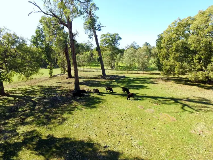 Sixth view of Homely house listing, 200 Mayo Road, Gidgegannup WA 6083