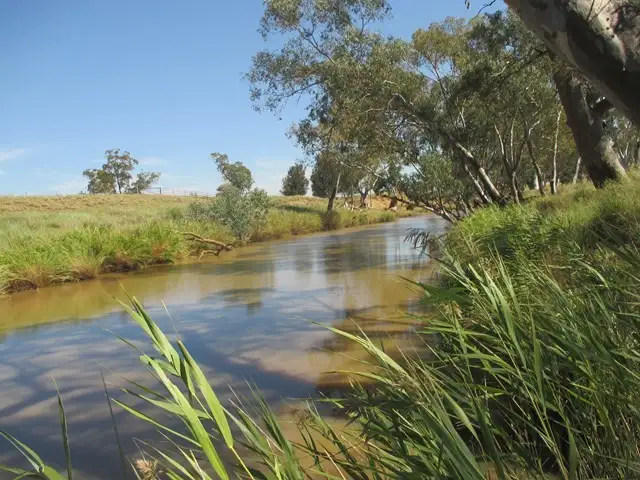 3924 MOUNT ABUNDANCE ROAD, Roma QLD 4455