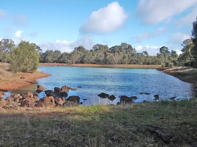 Lot 9199 Donnelly Road, Manjimup WA 6258