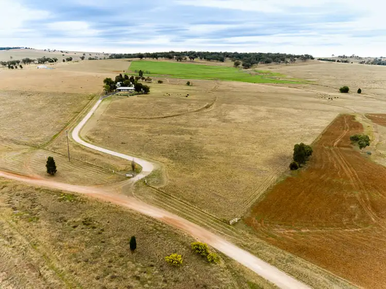 Third view of Homely rural property listing, 268 Deep Creek Road, Geurie NSW 2818