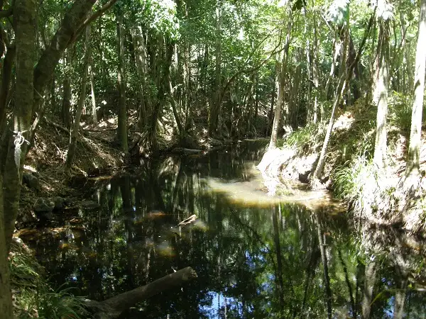 Fourth view of Homely land listing, Lot 5 Mountney Road, Strathdickie QLD 4800
