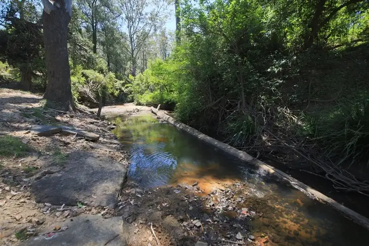 Second view of Homely rural property listing, 801 Kangaroo Creek Road, Coutts Crossing NSW 2460