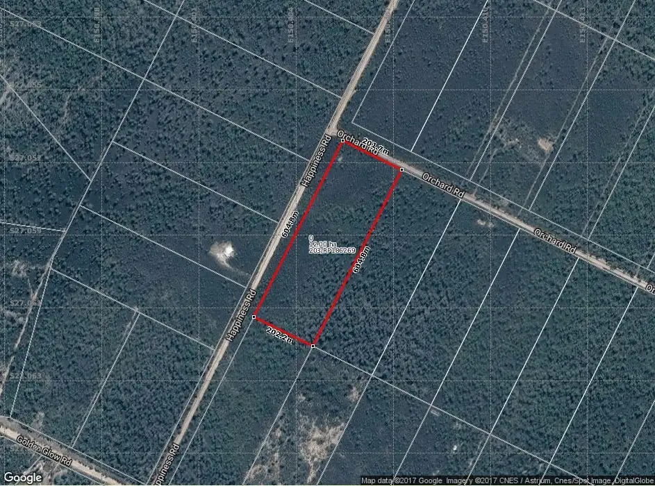 Main view of Homely rural property listing, LOT 203 ORCHARD ROAD, Tara QLD 4421