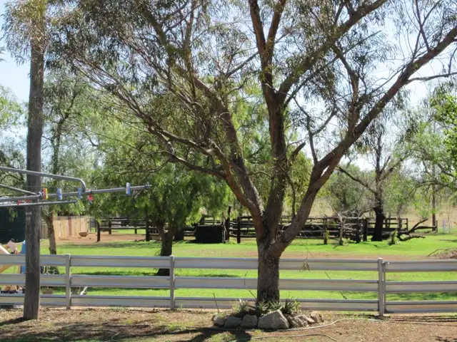 Second view of Homely rural property listing, 2320 Manilla Road, Tamworth NSW 2340