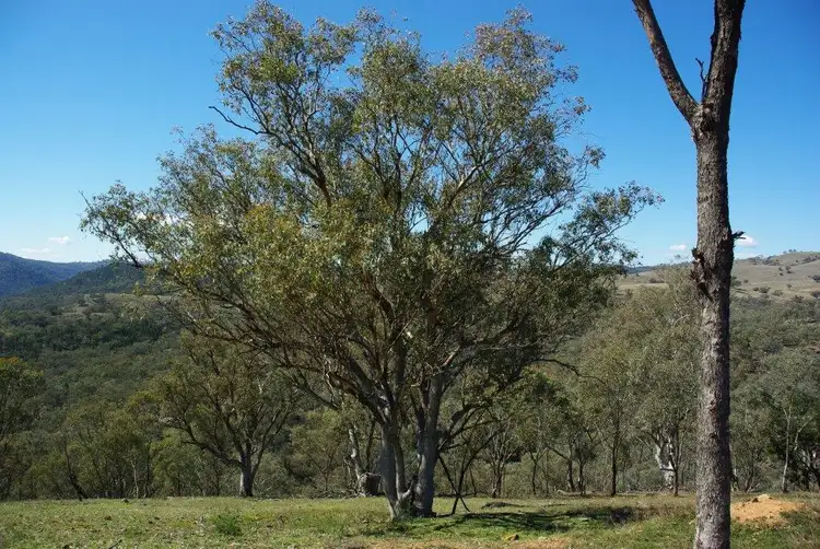 Second view of Homely rural property listing, 728 Mookerawa Road Mookerawa via, Wellington NSW 2820