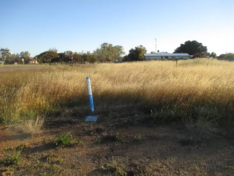 Third view of Homely land listing, 1 Millard Drive, Three Springs WA 6519