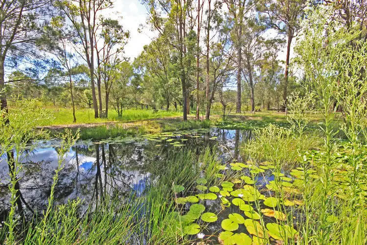 Third view of Homely rural property listing, 5 Stewarts River Road, Johns River NSW 2443