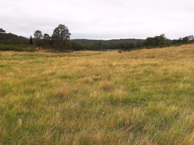 Sixth view of Homely rural property listing, 1732 Spring Ridge Road, Mudgee NSW 2850