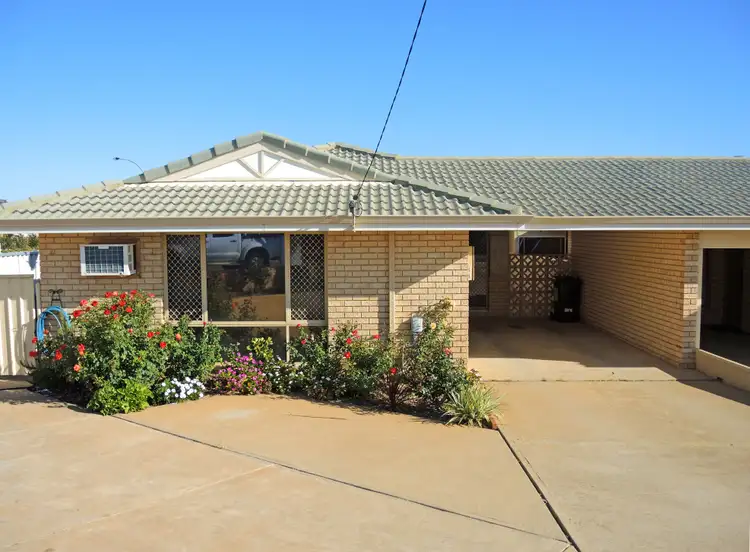 6A Koojarra Street, Spalding WA 6530