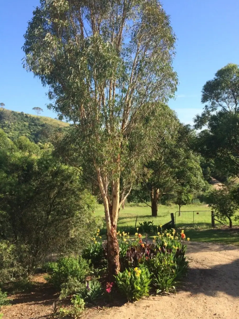 Main view of Homely rural property listing, Address available on request