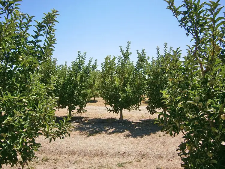 Sixth view of Homely rural property listing, 28 Coates Road, Cadell SA 5321