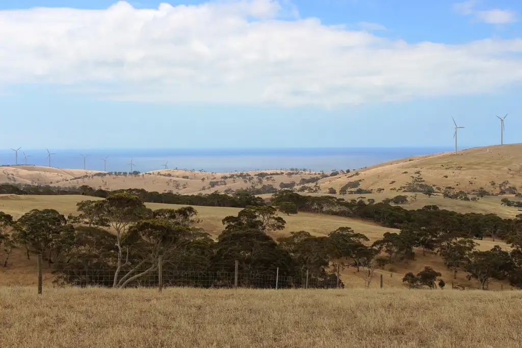 Main view of Homely rural property listing, Allotment 4 9058 Main South Rd, Delamere SA 5204
