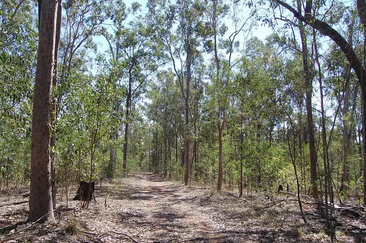 Third view of Homely rural property listing, Hogarth Range Rd, MONGOGARIE via, Casino NSW 2470