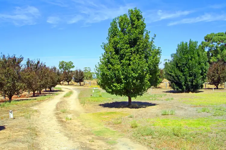 Seventh view of Homely house listing, 443 Hills Road, Padthaway SA 5271