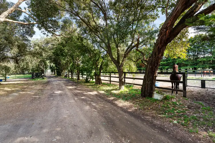 Fifth view of Homely rural property listing, 1056 Stumpy Gully Road, Moorooduc VIC 3933