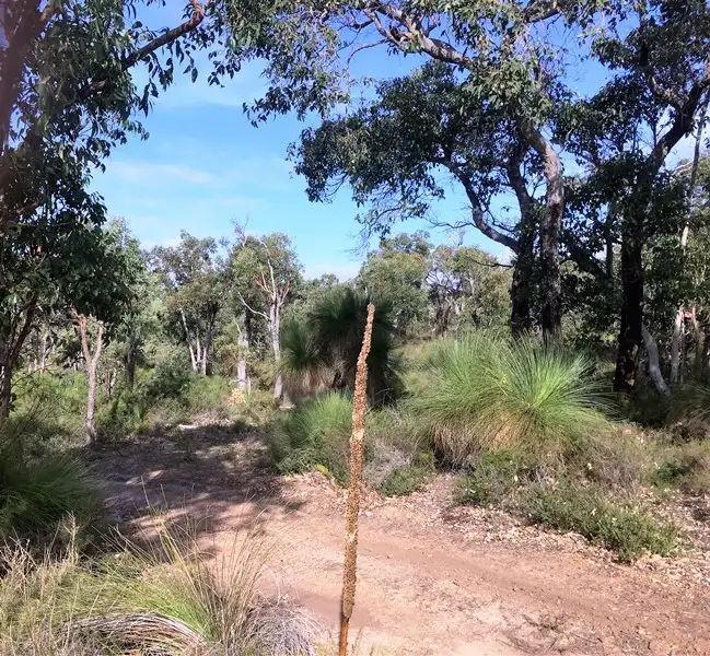 Sixth view of Homely land listing, Lot 303 Carnarvon Castle Drive, Eagle Bay WA 6281