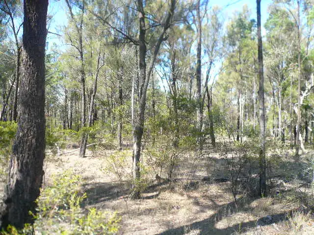 Lot 263 FARM LANE, Tara QLD 4421