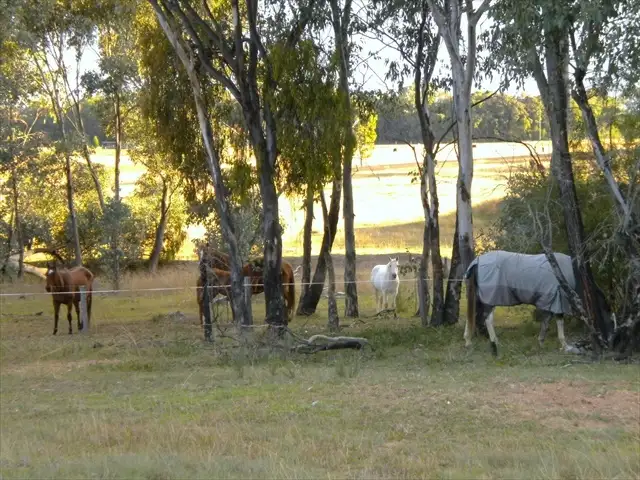 Main view of Homely rural property listing, Address available on request
