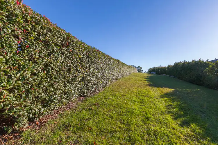 Seventh view of Homely land listing, 177 George Bass Drive, Surf Beach NSW 2536
