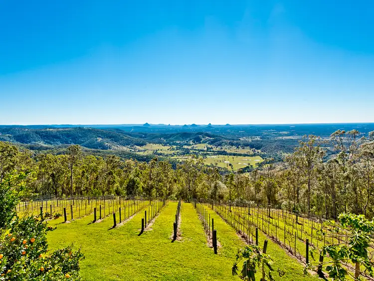 Fifth view of Homely house listing, 71 Jinibara Court, Ocean View QLD 4521