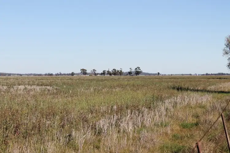 Fourth view of Homely rural property listing, - Tallabung, Forbes NSW 2871