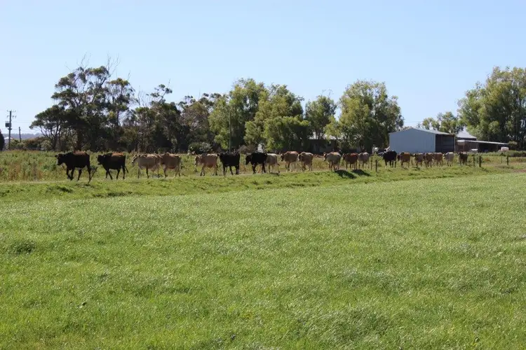 Main view of Homely rural property listing, 100 Park Road, Togari TAS 7330