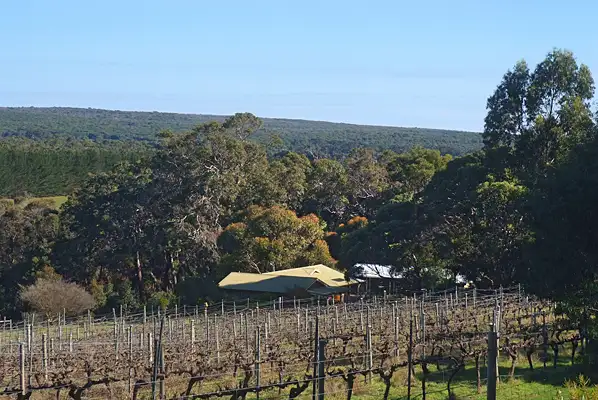 90 Armstrong Road, Cowaramup WA 6284