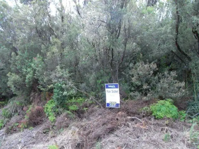 . Crotty Street, Queenstown TAS 7467