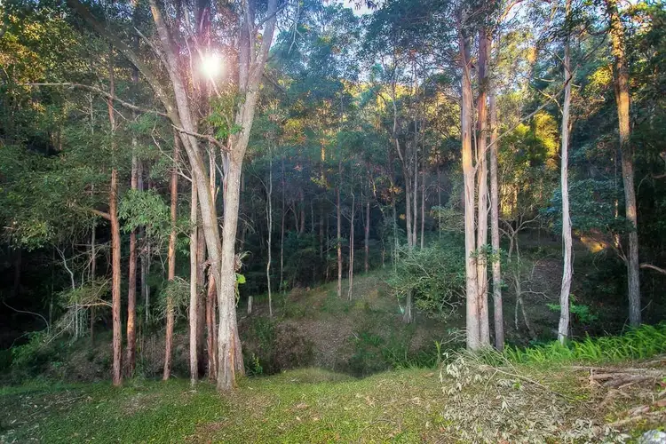 Fourth view of Homely house listing, 71 BELMONT PARK DRIVE, Mudgeeraba QLD 4213