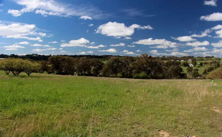 Second view of Homely land listing, 151 Chums Lane, Young NSW 2594