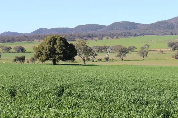 Main view of Homely rural property listing, 1520 Loombah Road, Yeoval NSW 2868