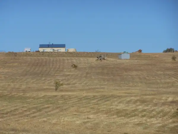 Sixth view of Homely rural property listing, 51 Cherry Vale Place, Young NSW 2594