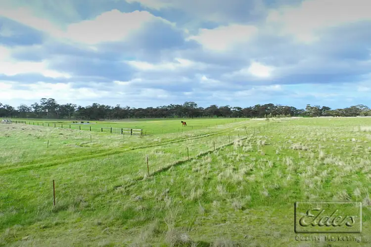 Sixth view of Homely land listing, 1445 Bendigo-Sutton Grange Road, Sutton Grange VIC 3448