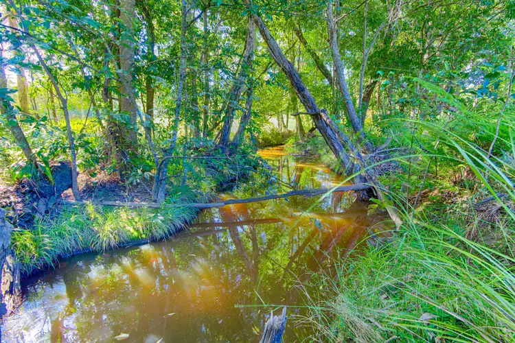 Fourth view of Homely rural property listing, 22 Rose Gum Road, Cooroy QLD 4563
