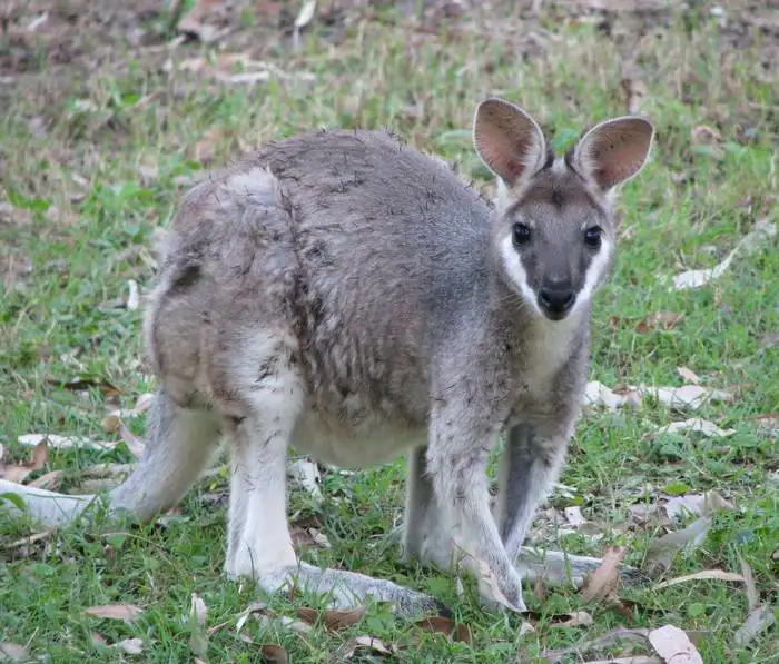 Fourth view of Homely land listing, Address available on request