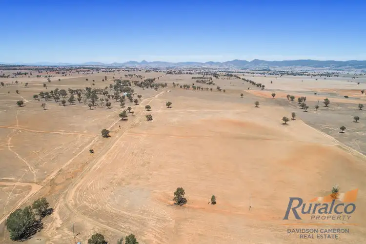Seventh view of Homely rural property listing, "Loroca" 2793 Oxley Highway, Tamworth NSW 2340