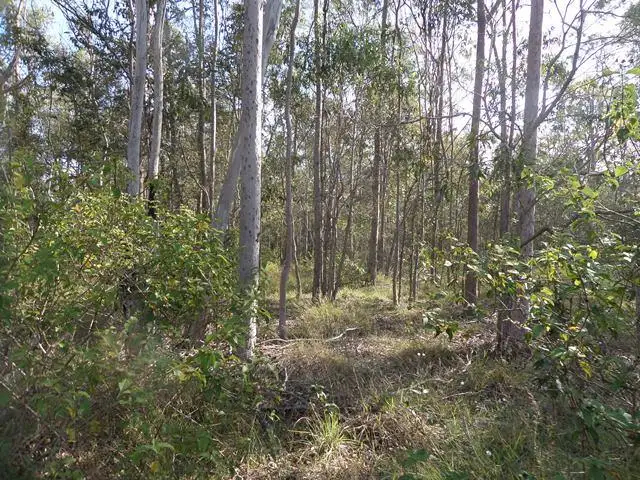 Second view of Homely land listing, 13 Kelly Rd, Spring Creek QLD 4343