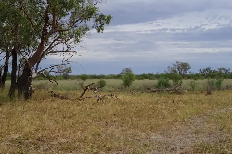 Fourth view of Homely rural property listing, ' Burkobulla ', Quilpie QLD 4480