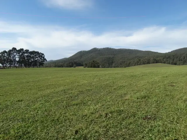 Seventh view of Homely rural property listing, 1087 Pine Road, Riana TAS 7316