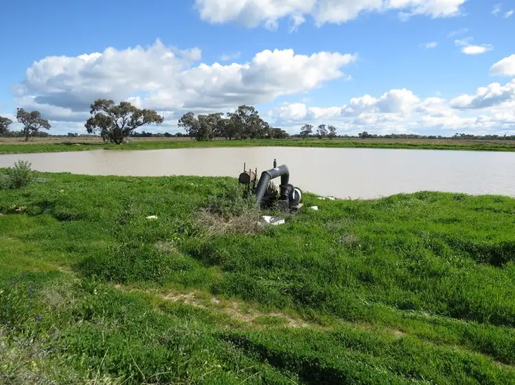 Fifth view of Homely rural property listing, 7209 Conargo Road, Deniliquin NSW 2710