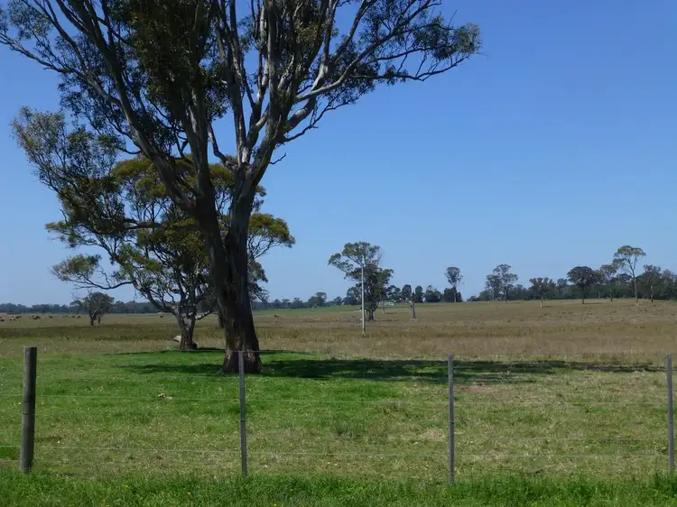 Fifth view of Homely rural property listing, 1040 Boundary Road, Lindenow South VIC 3875