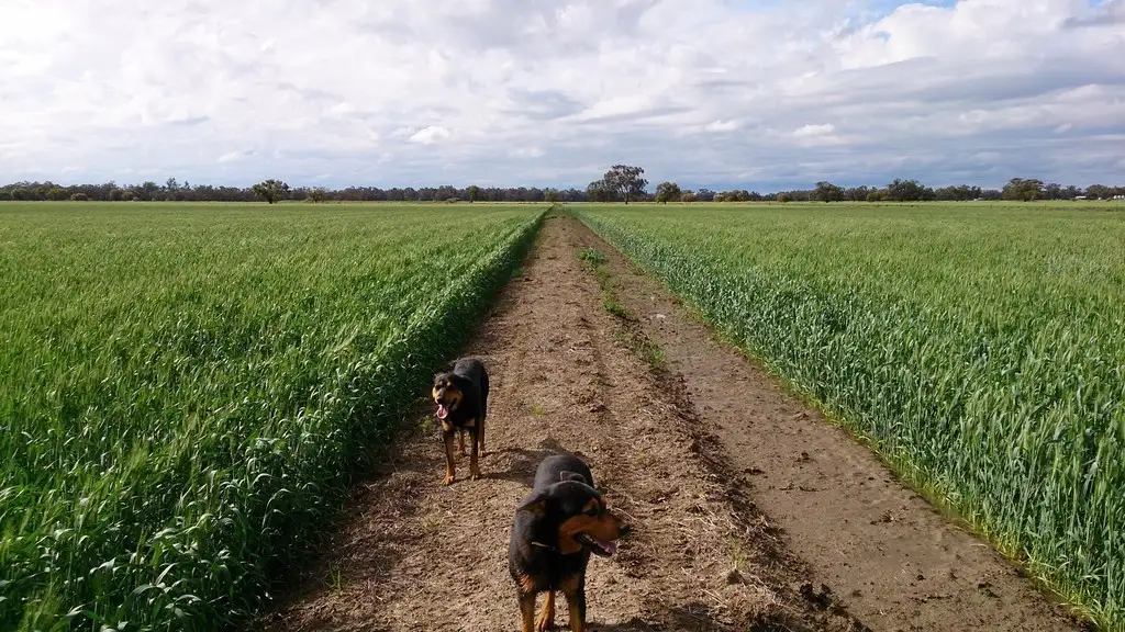 Main view of Homely rural property listing, Address available on request