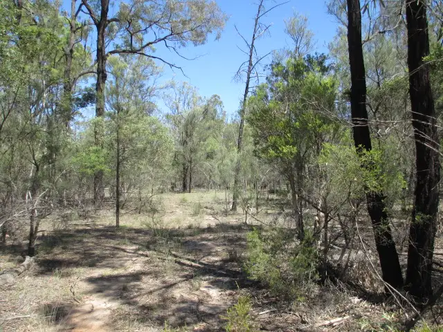 Third view of Homely rural property listing, 294 HAPPINESS, Tara QLD 4421