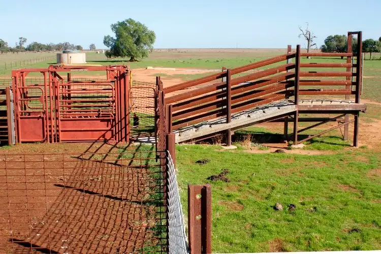 Fourth view of Homely rural property listing, ''Raheen'' Raheen Road, Hay NSW 2711