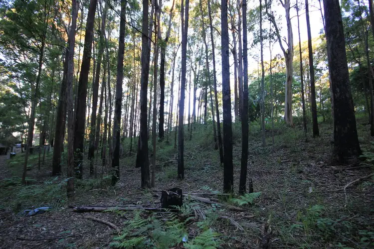 Seventh view of Homely land listing, 25 Caringal Drive, Middle Brother NSW 2443