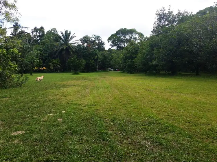 Fifth view of Homely rural property listing, 79 (225R) Forest Creek Road, Daintree QLD 4873