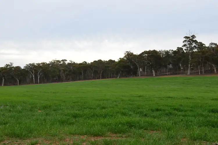 Fifth view of Homely rural property listing, L101 BOYUP BROOK-ARTHUR ROAD, Trigwell WA 6244